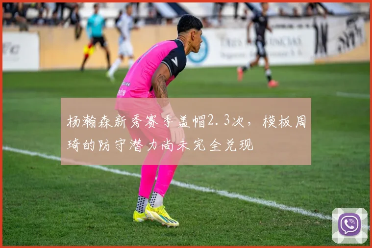 杨瀚森新秀赛季盖帽2.3次，模板周琦的防守潜力尚未完全兑现